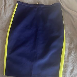 Seahawk colored pencil skirt